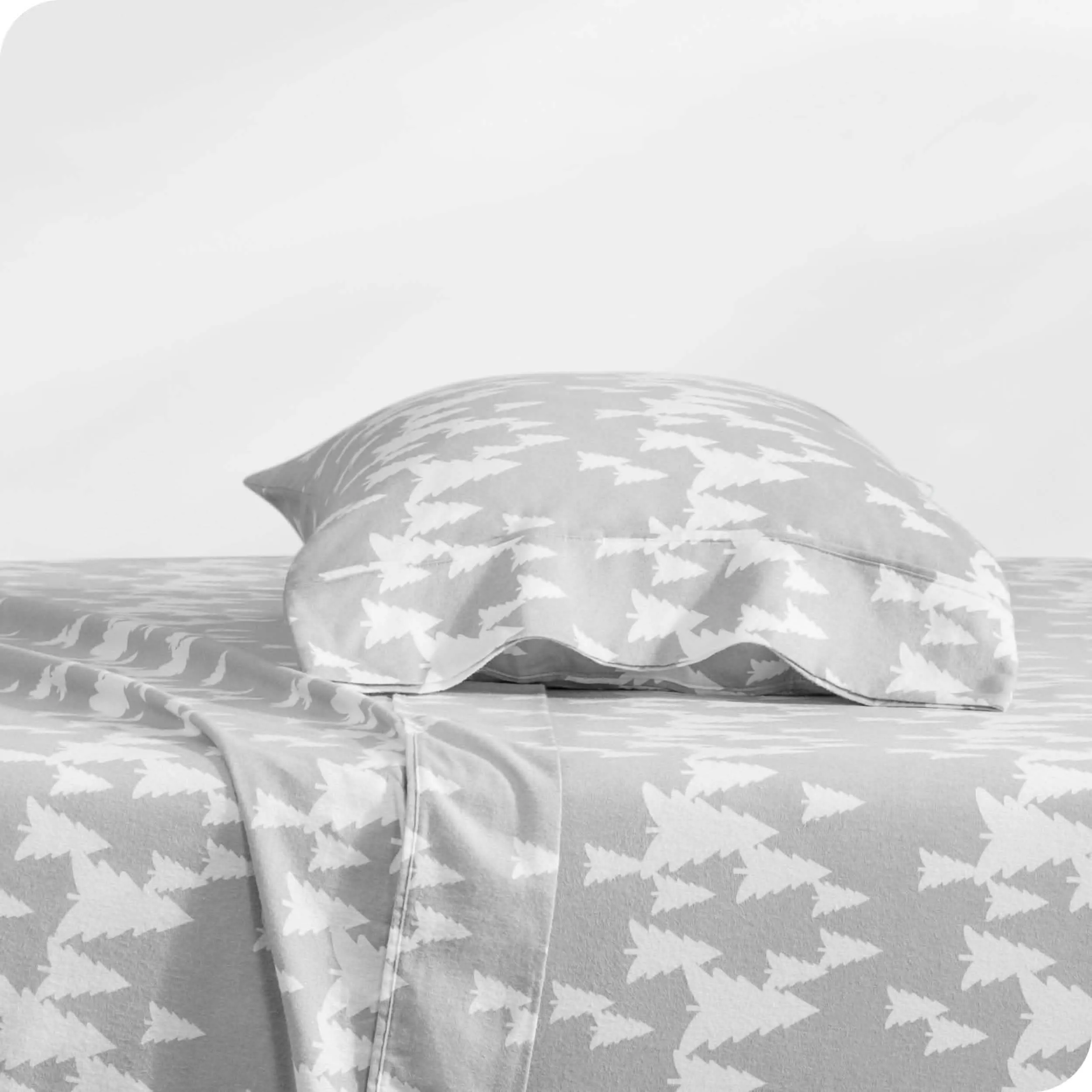 Cotton Flannel Sheet Set - Twin