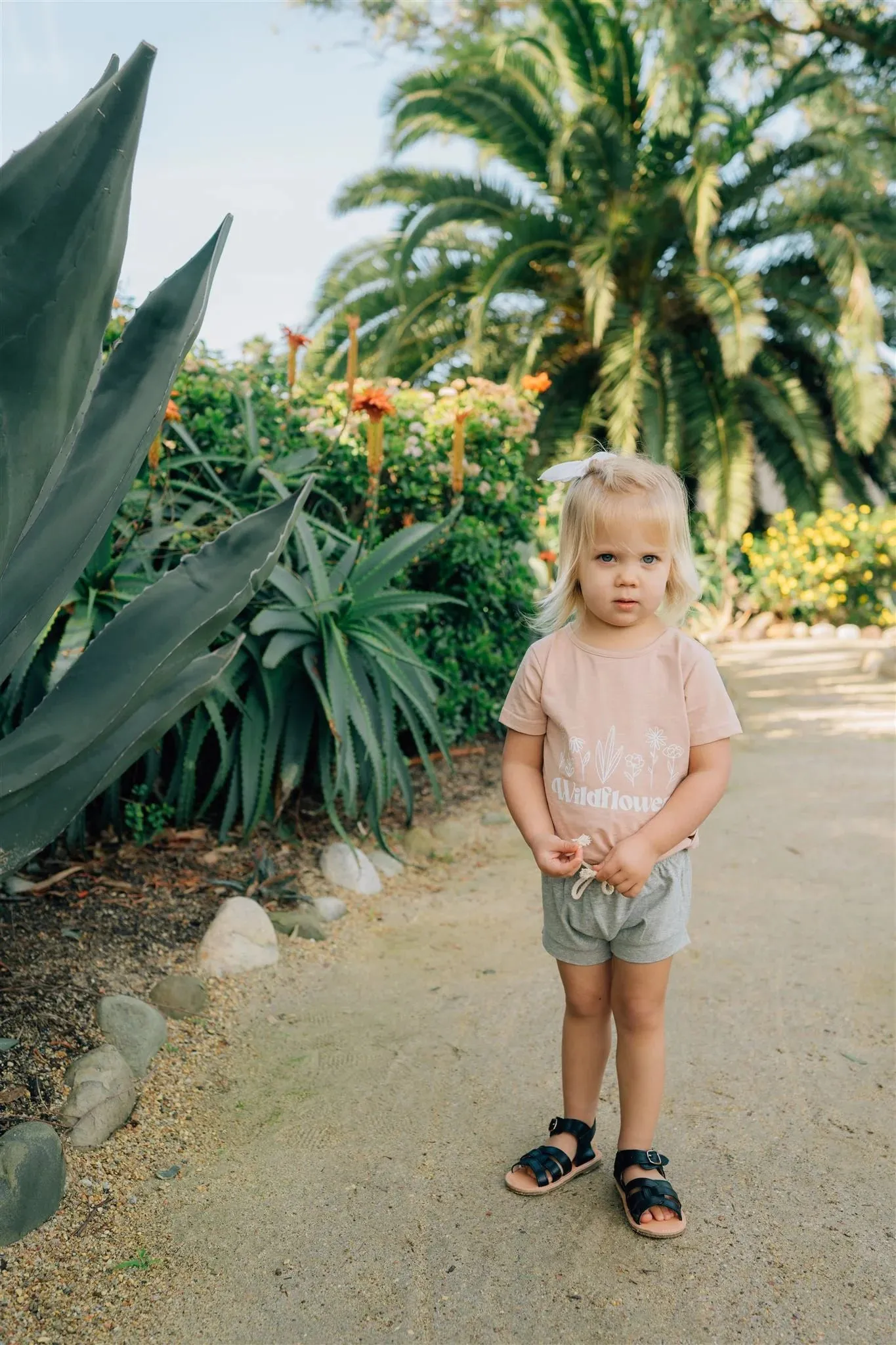 Cotton Shorts | Heather Grey