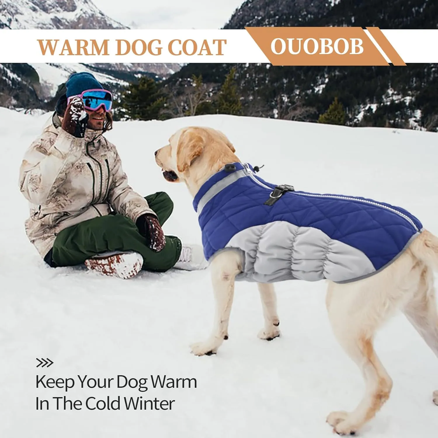 Dog Jackets for Medium Dogs,Medium Dog Coat,Warm Pet Winter Coat Zip Up Back,Waterproof Dogs Jacket with D-Ring,Pet Cold Weather Coats with Fleece Lined, Snowsuit Pug Boston Terrier,Blue,M