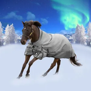Equinavia Arktis Extended Neck Turnout Sheet - Charcoal Gray E24007