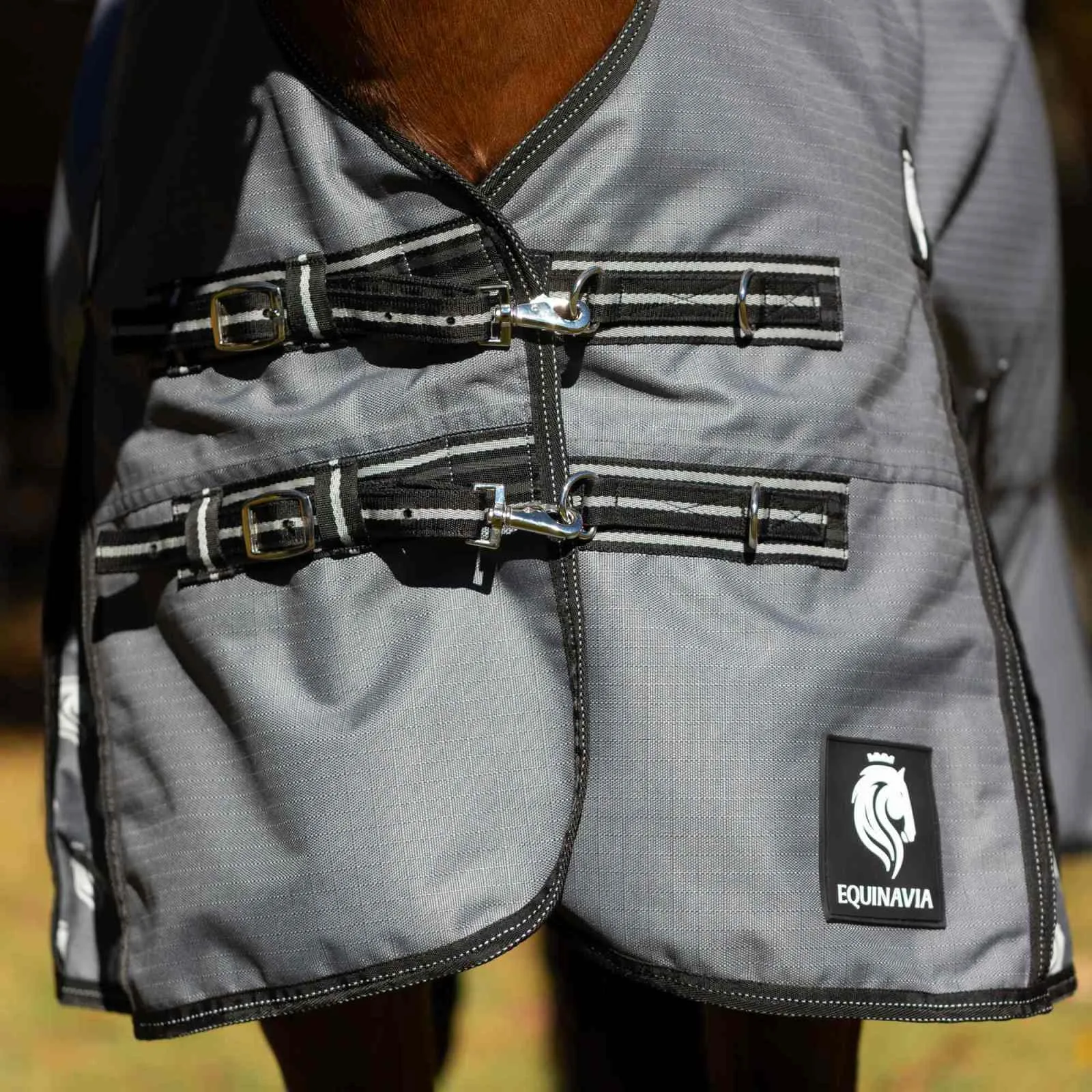Equinavia Arktis Extended Neck Turnout Sheet - Charcoal Gray E24007